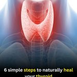 Discover How to Add Chayote to Your Daily Routine for Natural Wellness Support