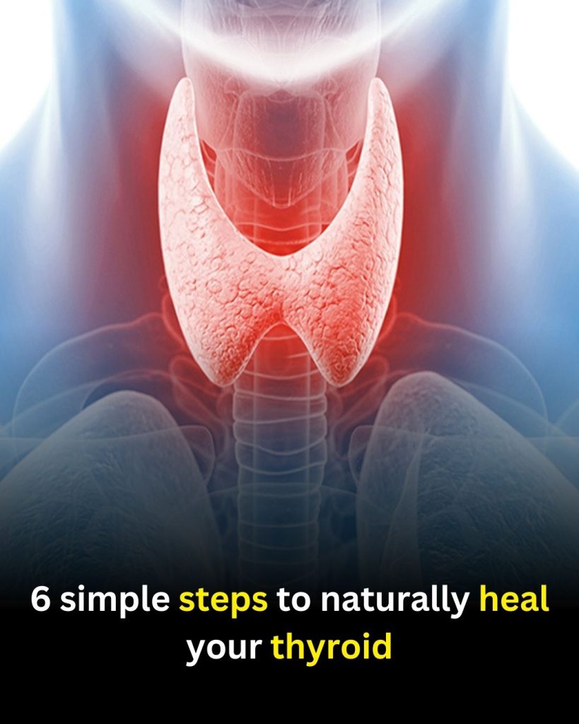 Discover How to Add Chayote to Your Daily Routine for Natural Wellness Support