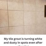 Why Did My Dark Grout Turn White — And How Can I Restore the Original Color?