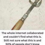 Vintage Kitchen Tool Leaves Internet Users Guessing Its Purpose