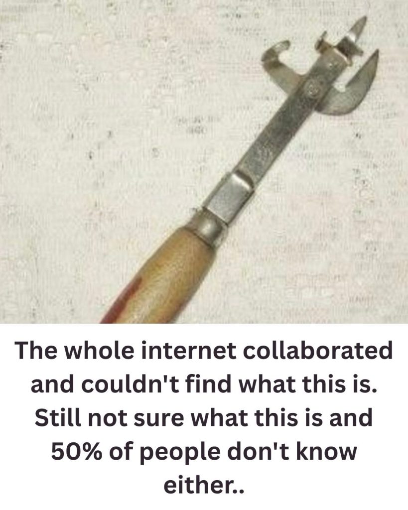 Vintage Kitchen Tool Leaves Internet Users Guessing Its Purpose