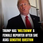 Donald Trump Responds Sharply to Reporter’s Question About Epstein Case