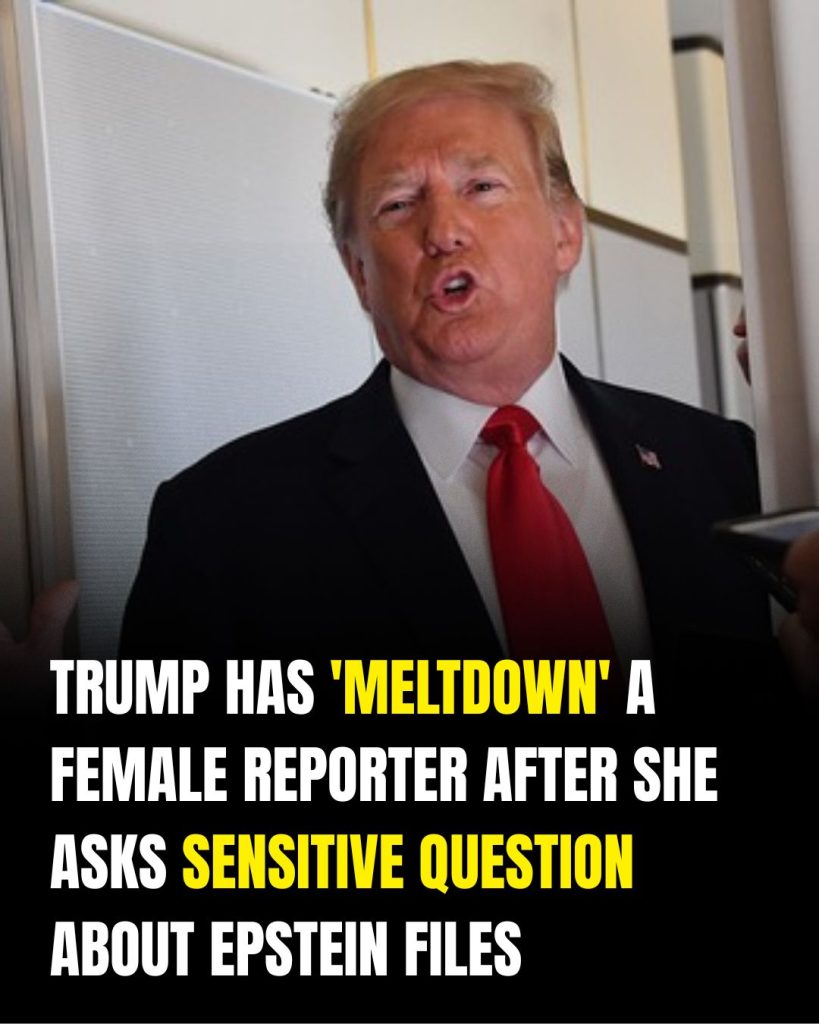Donald Trump Responds Sharply to Reporter’s Question About Epstein Case