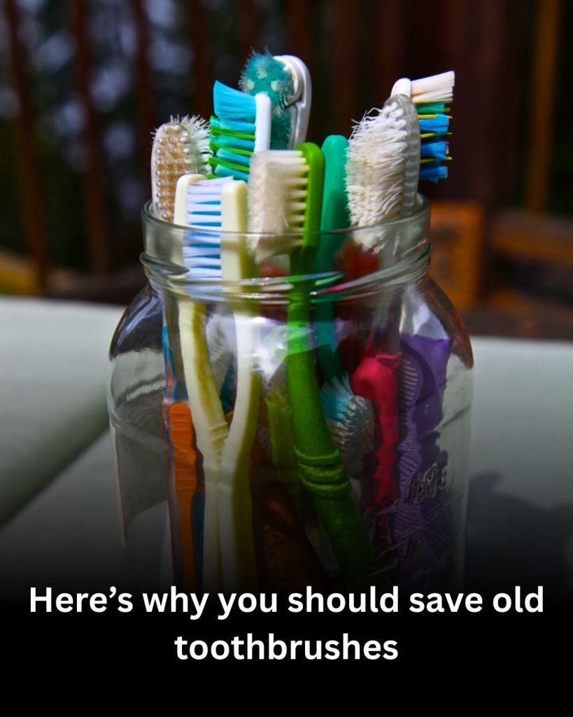 Why Smart Homeowners Save Old Toothbrushes