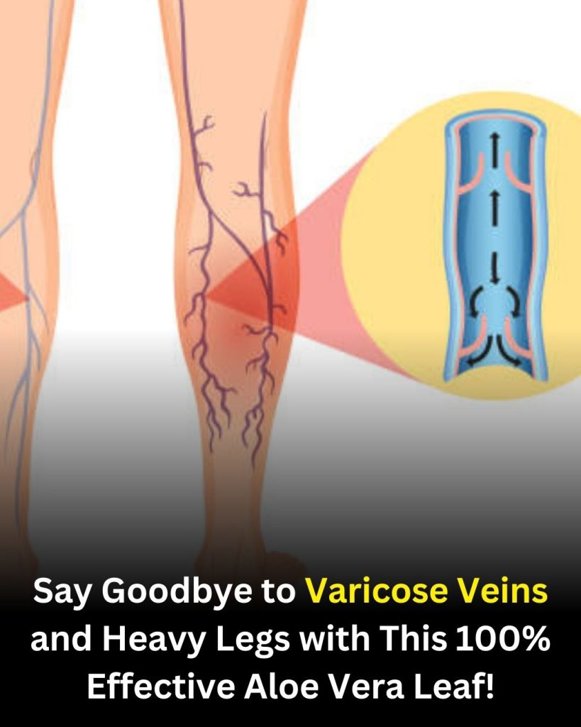 Soothe Tired Legs Naturally: A Gentle Aloe Vera Routine for Everyday Comfort