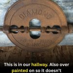 A Forgotten Home Feature Making a Quiet Comeback