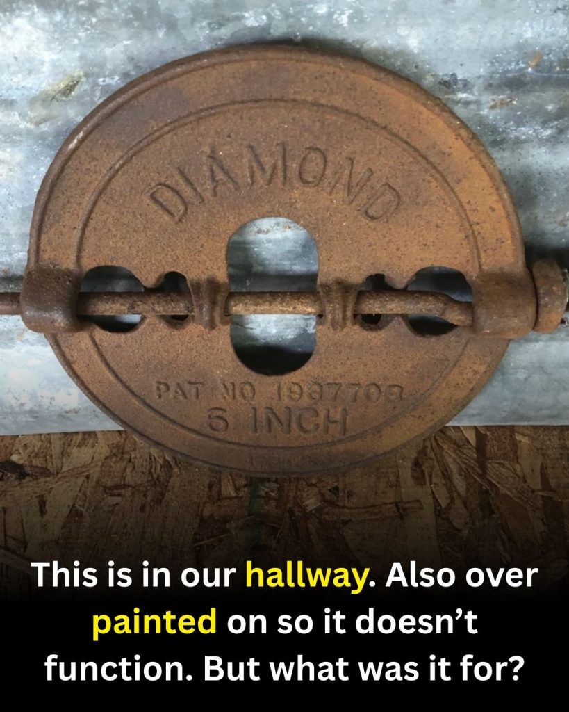 A Forgotten Home Feature Making a Quiet Comeback