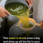 Natural Juice Packed With Benefits: Ginger, Spinach & Lemon Clean Blend
