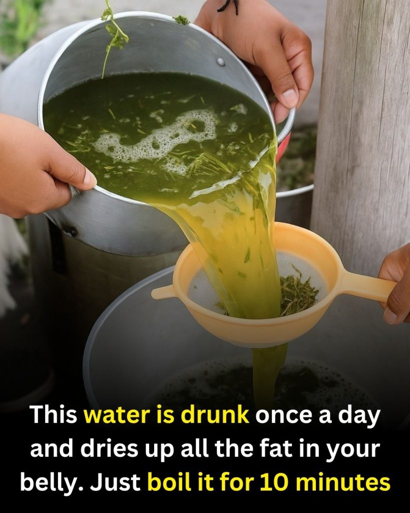 Natural Juice Packed With Benefits: Ginger, Spinach & Lemon Clean Blend