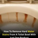 How to Remove Hard Water Stains From a Toilet Bowl Using a Simple Household Product