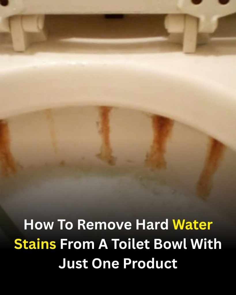 How to Remove Hard Water Stains From a Toilet Bowl Using a Simple Household Product