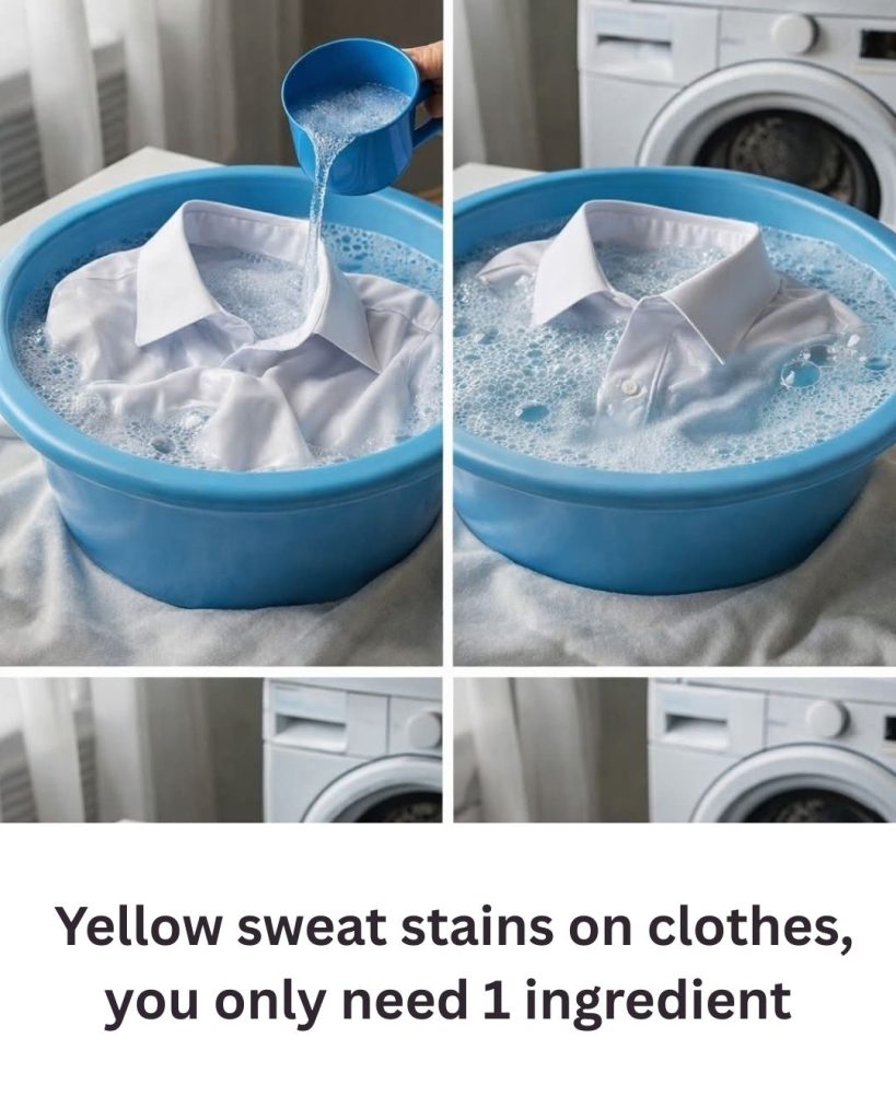 Goodbye to yellow sweat stains on clothes, you only need 1 ingredient: very white clothes