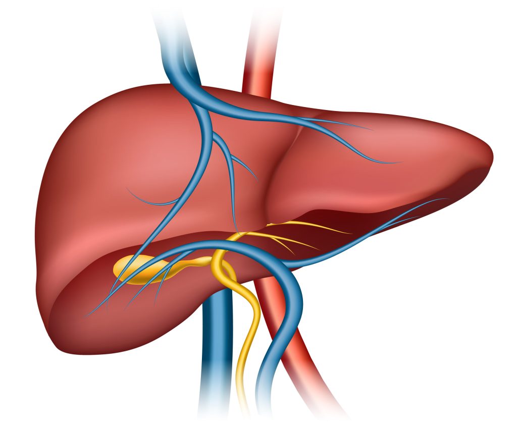 Cleanses the Liver 150 Times More Powerful Than Garlic and Lemon: Grandma’s Miracle Recipe