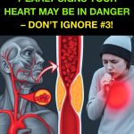 7 Early Signs Your Heart May Be in Danger – Don’t Ignore Them