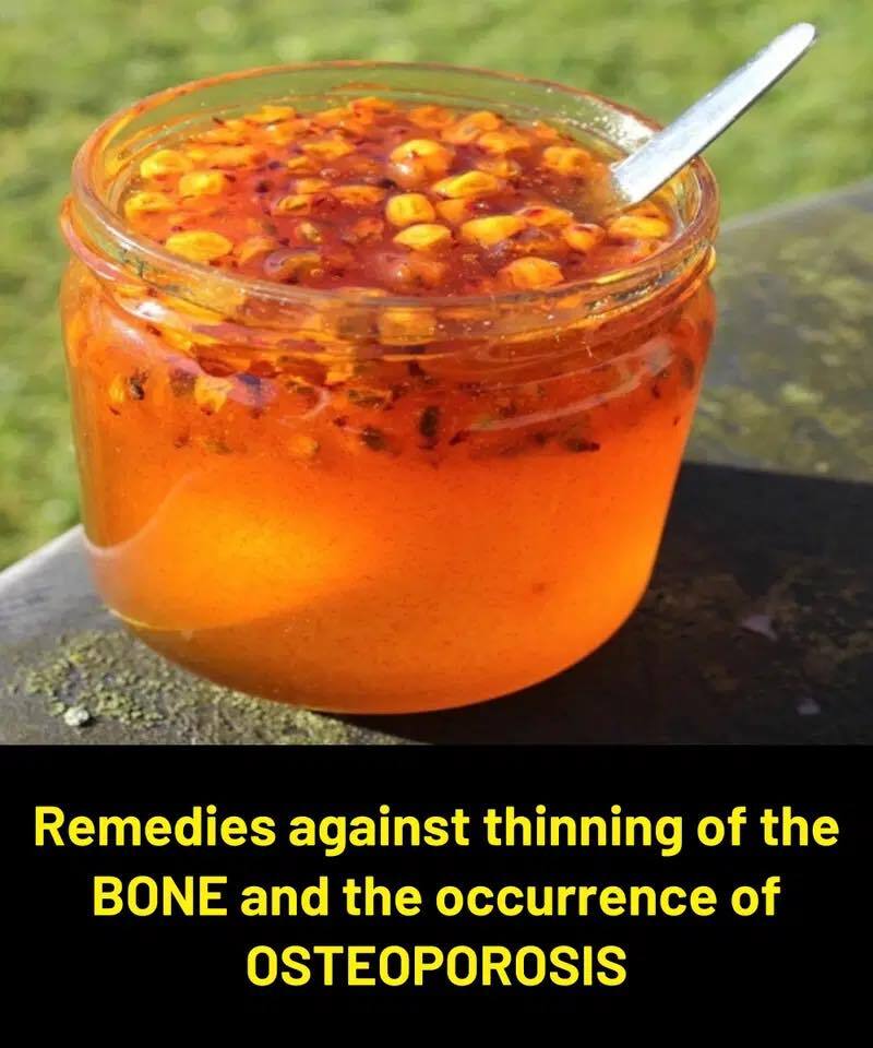 Osteoporosis Is Not Something to Ignore — But Proper Nutrition Can Help Support Your Bones
