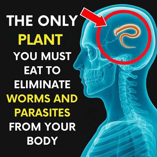Can “2 Spoons” Really Expel Worms and Parasites? Here’s the Truth