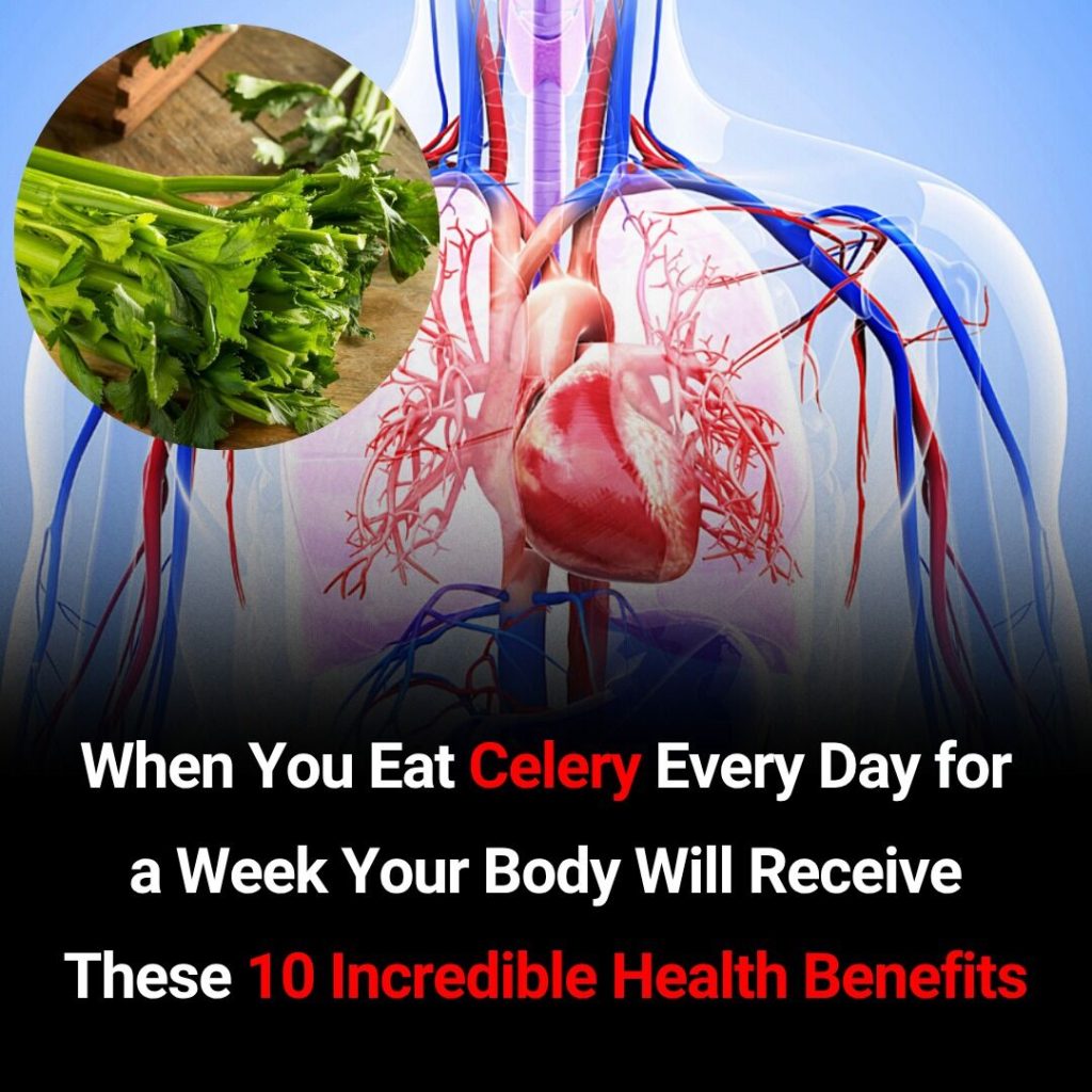 Proven Health Benefits of Celery & Nutrition Facts