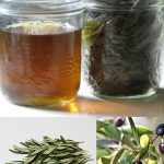 Olive Leaf Benefits: Uses, Potential Health Support, and How to Use Olive Leaves Safely