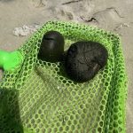 Beach Mystery Solved: What Are These Bizarre Balls Kids Keep Finding?