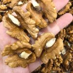 Walnuts: True “Fuel for the Brain” and the Secret to Your Beauty