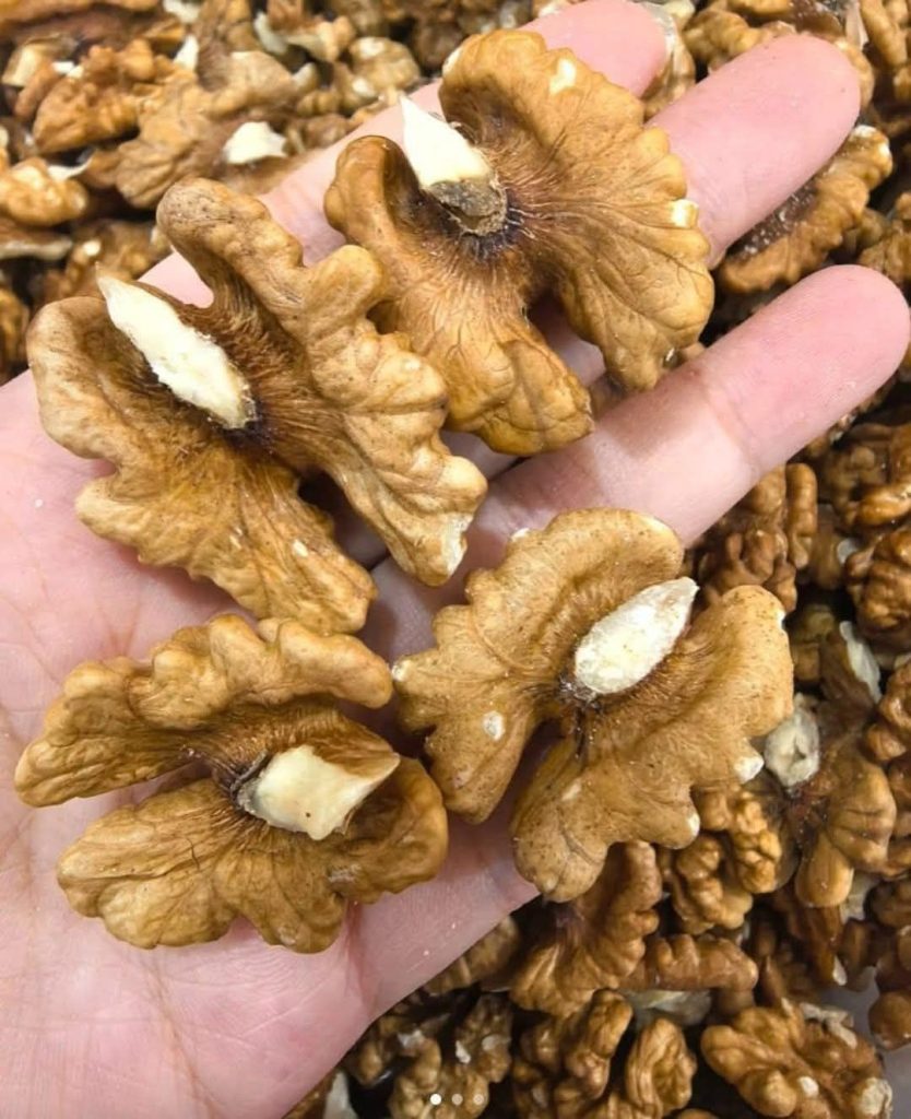 Walnuts: True “Fuel for the Brain” and the Secret to Your Beauty