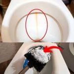 How to Effectively Remove Limescale from a Toilet: Proven Cleaning Methods