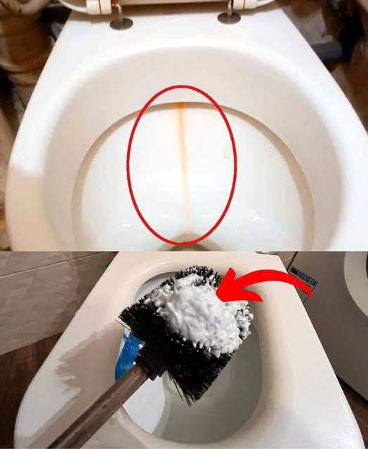 How to Effectively Remove Limescale from a Toilet: Proven Cleaning Methods