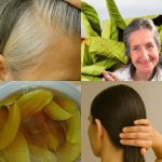 🌿 Unveiling the Hidden Secrets of Guava Leaves: Transform Your Hair Naturally!