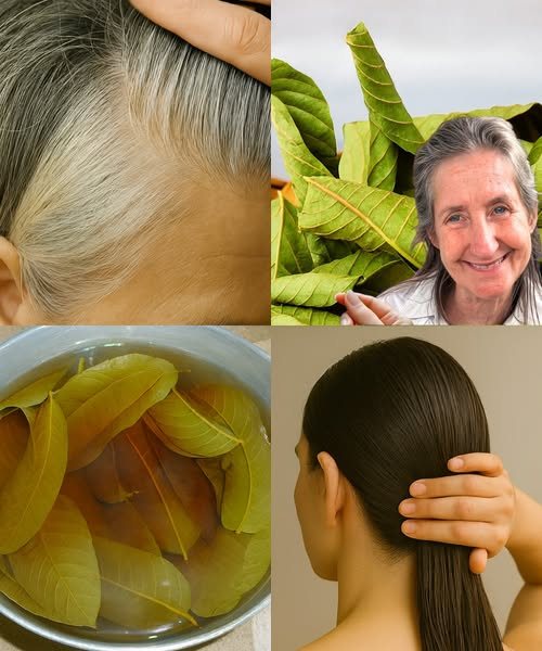🌿 Unveiling the Hidden Secrets of Guava Leaves: Transform Your Hair Naturally!