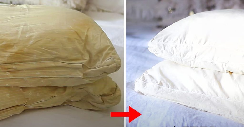 How to Clean Dirty Bed Pillows and Make Them Look White and Smell Fresh Again