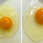 How Long Do Hard-Boiled Eggs Stay Fresh? Tips for Spotting Spoiled Eggs