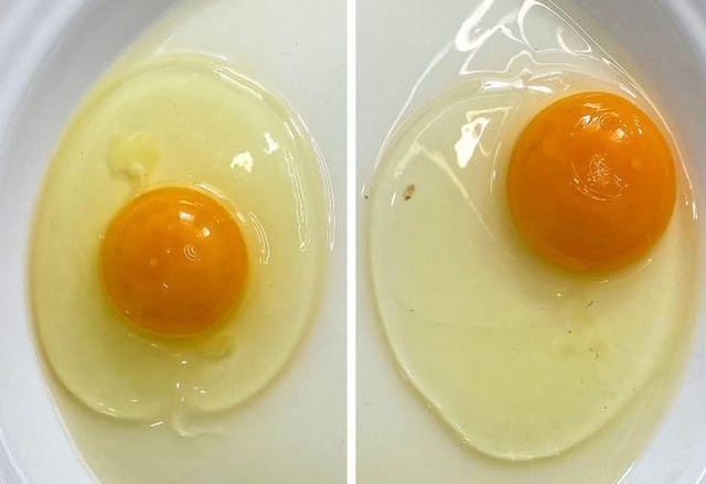 How Long Do Hard-Boiled Eggs Stay Fresh? Tips for Spotting Spoiled Eggs