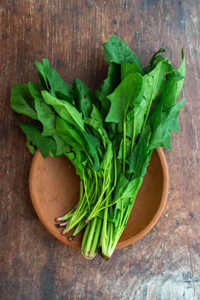 10 Powerful Benefits of Spinach You Need to Know