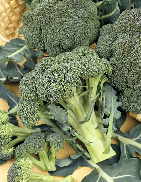Doctors Explain What Eating Too Much Broccoli May Lead To