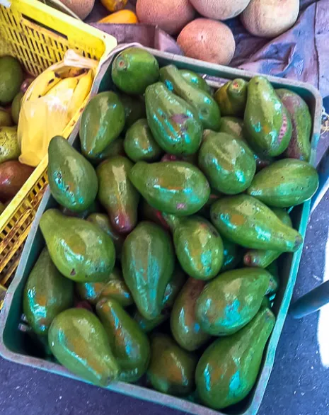 5 Possible Side Effects of Avocados You Should Be Aware Of