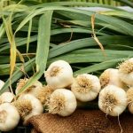 One Clove of Garlic a Day May Help More Than You Think