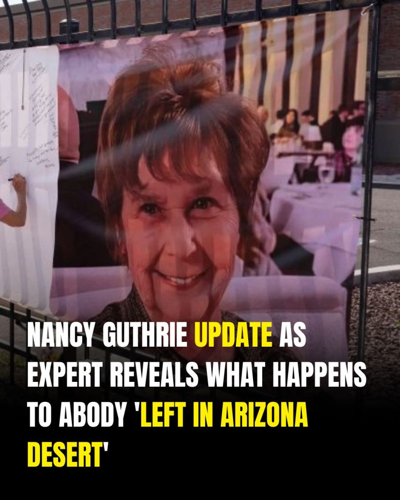Nancy Guthrie update as expert reveals what happens to a body ‘left in Arizona desert’