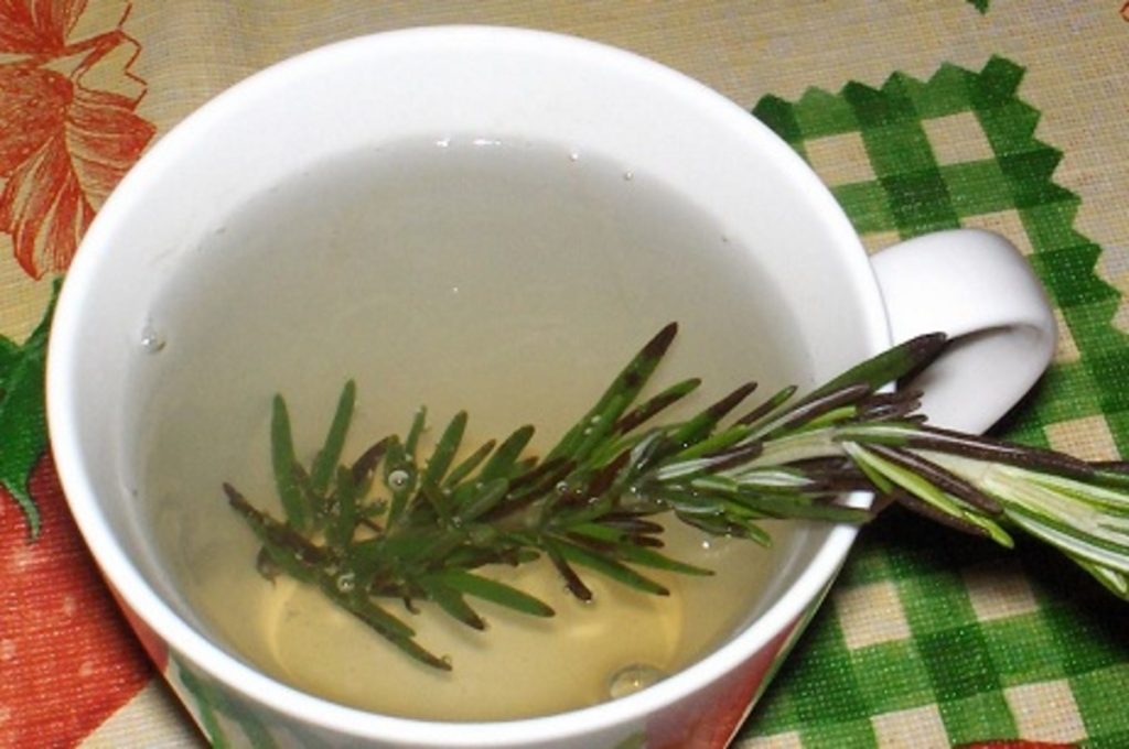 Rosemary: A Powerful Medicinal Herb to Relieve Pain and Support Natural Health