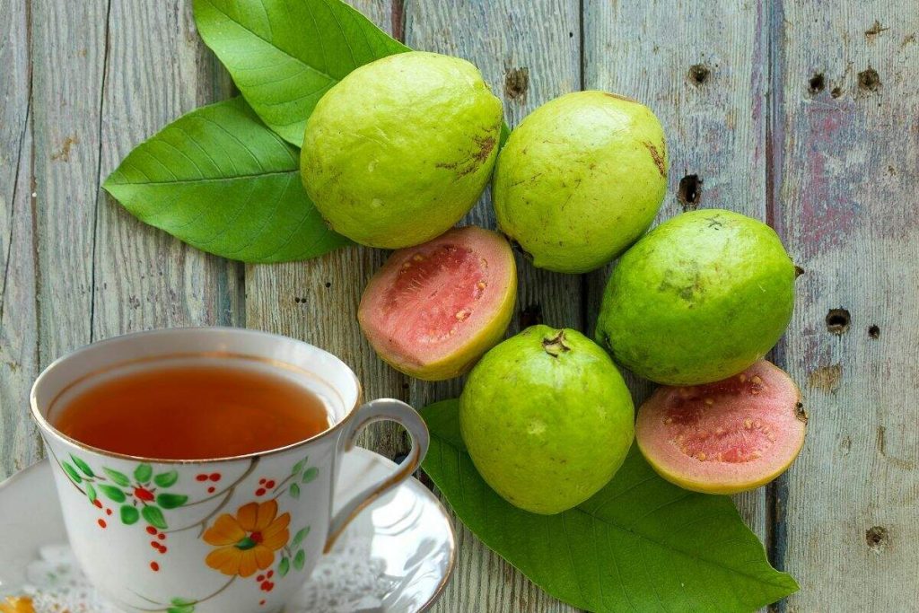 Benefits of guava leaves: what they are for and how to use them correctly