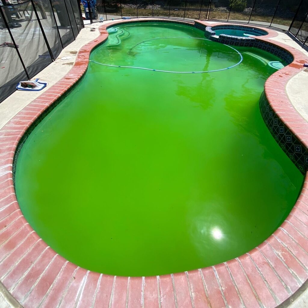 Grandma’s Clever Pool Cleaning Trick Is Getting Attention for All the Right Reasons