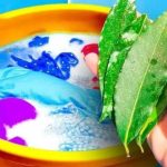 3 Bay Leaves May Help With 4 Common Household Problems