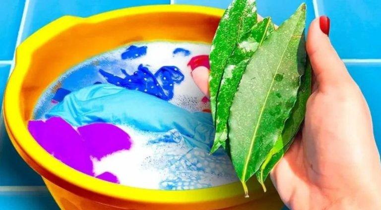 3 Bay Leaves May Help With 4 Common Household Problems