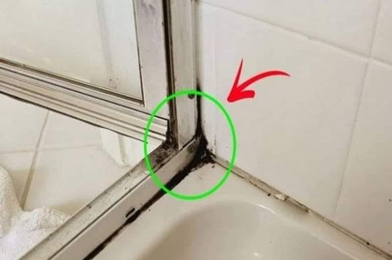 The Fastest Way to Remove Mildew From Shower Silicone