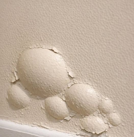 Strange Bubbles Under Wall Paint Near the Floor: Is It Humidity or Something More Serious?