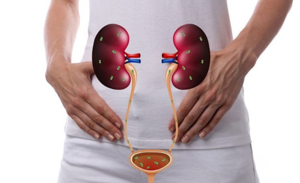 Worried About Your Kidneys? 8 Foods That May Better Support Kidney Health