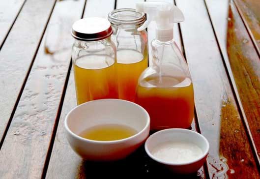 How to Get Rid of Flies, Cockroaches, and Mosquitoes Fast With a Homemade Solution
