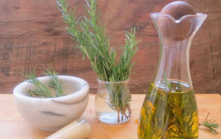 Just Smelling This Plant May Help Strengthen Memory and Improve Concentration