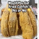 Southern Fried Catfish Recipe