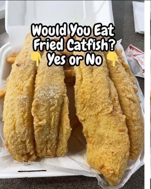 Southern Fried Catfish Recipe