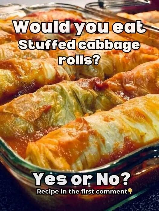 Stuffed Cabbage Rolls: A Hearty Comfort Food Classic